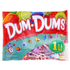 Dum Dums Limited Edition Flavors Assorted Pops, 16oz